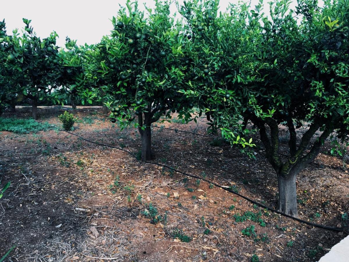 B&B Zagara Marsala Extérieur photo